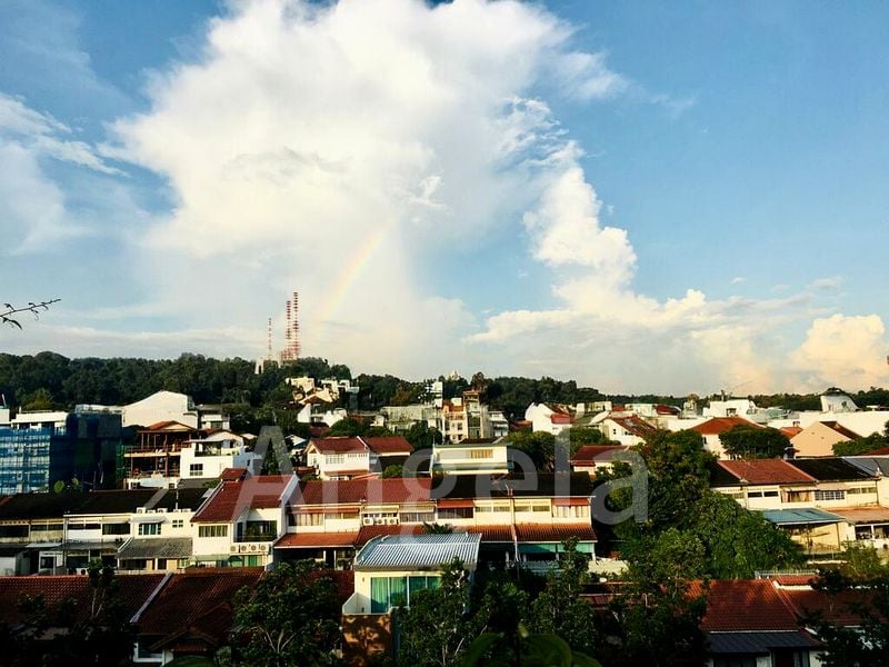 5 Bed Condo for Sale in Terrene At Bukit Timah - Image 5