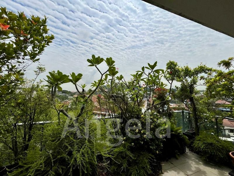 5 Bed Condo for Sale in Terrene At Bukit Timah - Image 1