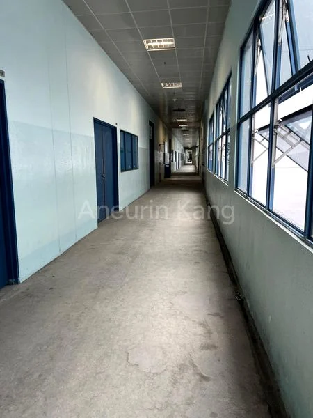 Light Industrial (B1) for Rent in  Loyang Industrial Estate - Image 3