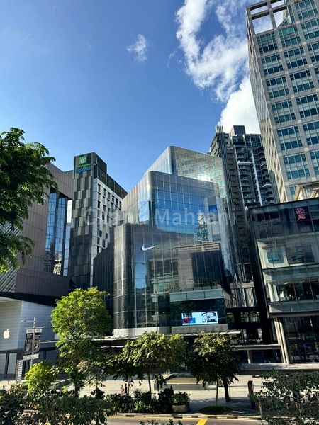 Other Retail for Rent: 268 Orchard Road - Image 5