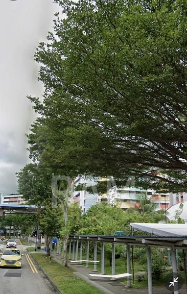 Master Room (HDB) for Rent in 719 Yishun Street 71 - Image 3