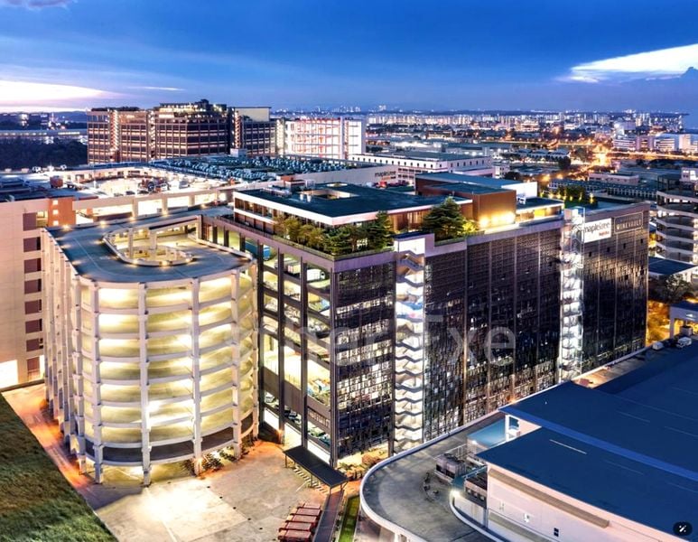 Factory / Workshop (B2) for Rent: 6 Fishery Port Road - Image 3