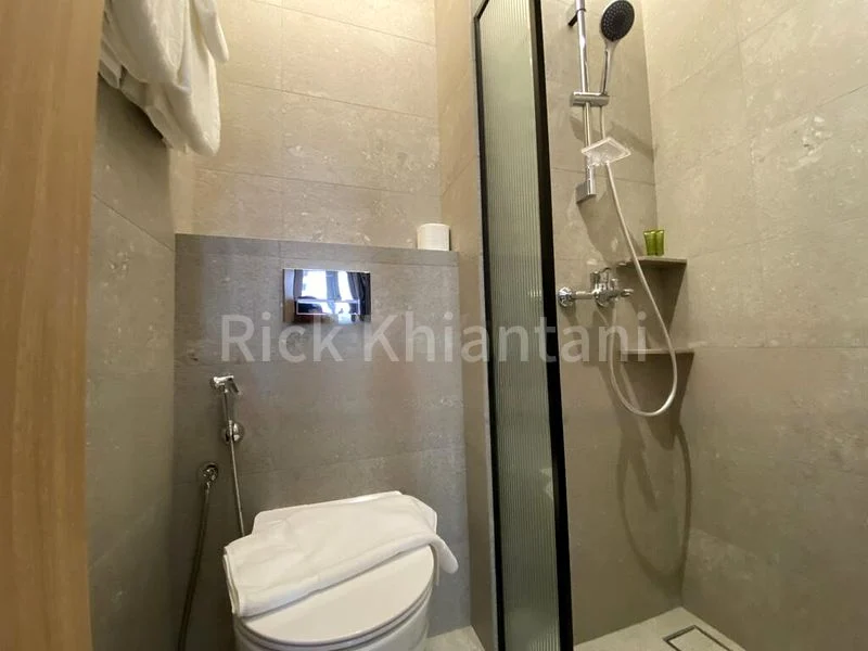 1 Bed Condo for Rent in  2 Mount Elizabeth Link - Image 6
