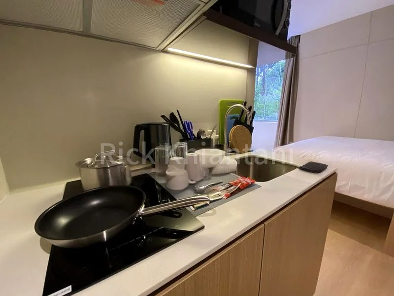 1 Bed Condo for Rent in  2 Mount Elizabeth Link - Image 2