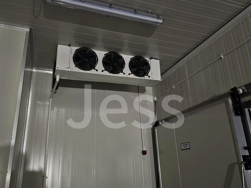 Light Industrial (B1) for Rent: Admiralty Cold Room - Image 3
