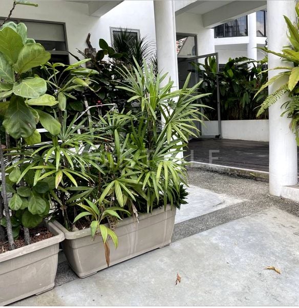 5 Bed Terraced House (Landed) for Sale in  Tavistock Avenue - Image 1