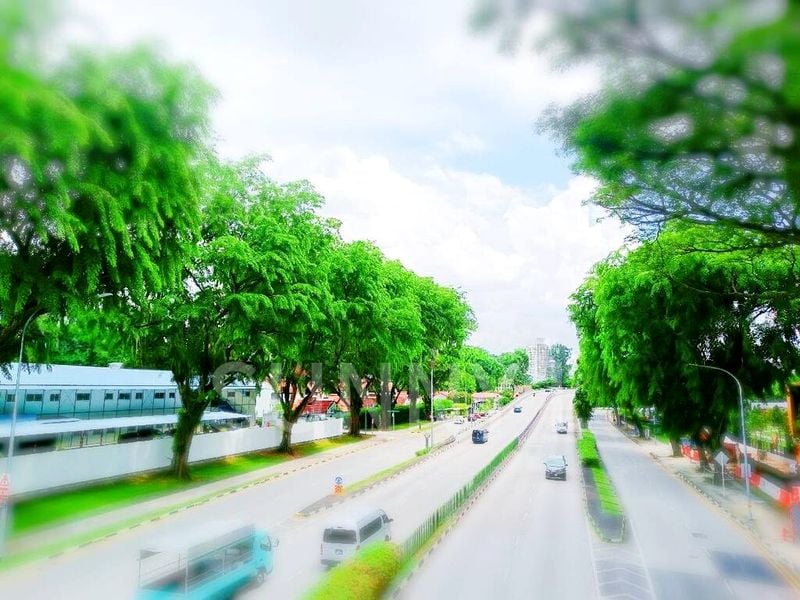 Shop / Shophouse for Rent: Prime Corner Shophouse on Bukit Timah Road, High Visibility - Image 1