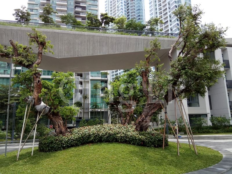 3 Bed Condo for Rent in  Highline Residences - Image 13
