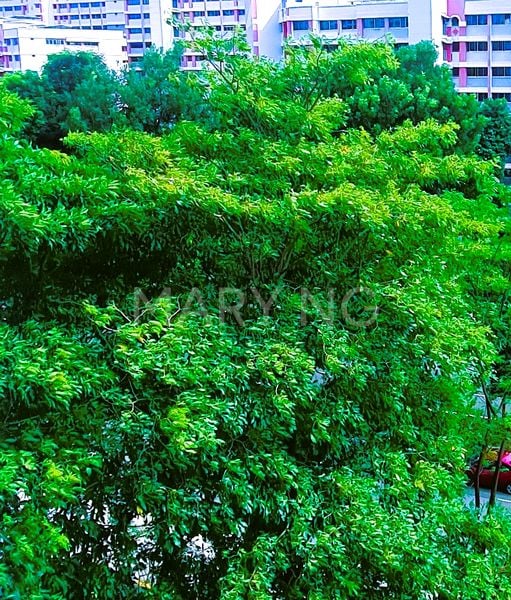 3 Bed Condo for Rent in The Quartz - Image 2