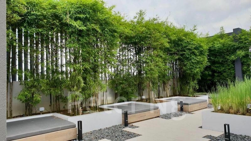 3 Bed Condo for Rent in  Trilive - Image 5