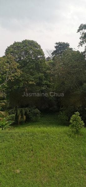 8 Bed Bungalow (Landed) for Sale in  Jurong Park - Image 9