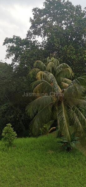 8 Bed Bungalow (Landed) for Sale in  Jurong Park - Image 8