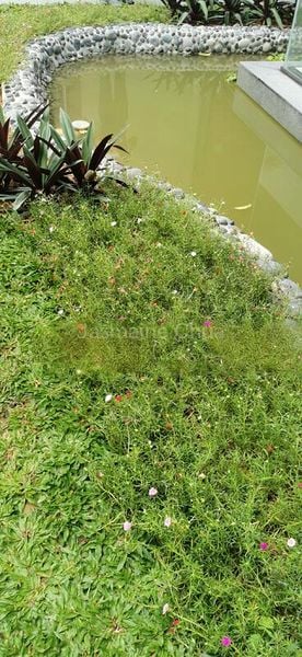 8 Bed Bungalow (Landed) for Sale in  Jurong Park - Image 13