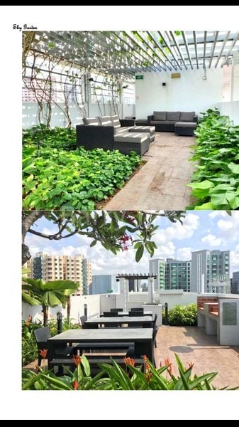 1 Bed Condo for Rent in  Lotus at Paya Lebar (West Wing) - Image 2