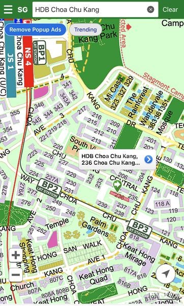 Master Room (HDB) for Rent in  236 Choa Chu Kang Central - Image 1