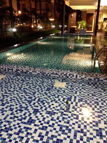 1 Bed Condo for Rent in  Auralis - Image 8