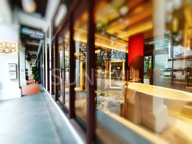 Shop / Shophouse for Sale: Prime Tras Street 3.5-Storey Shophouse near Tanjong Pagar MRT - Image 15