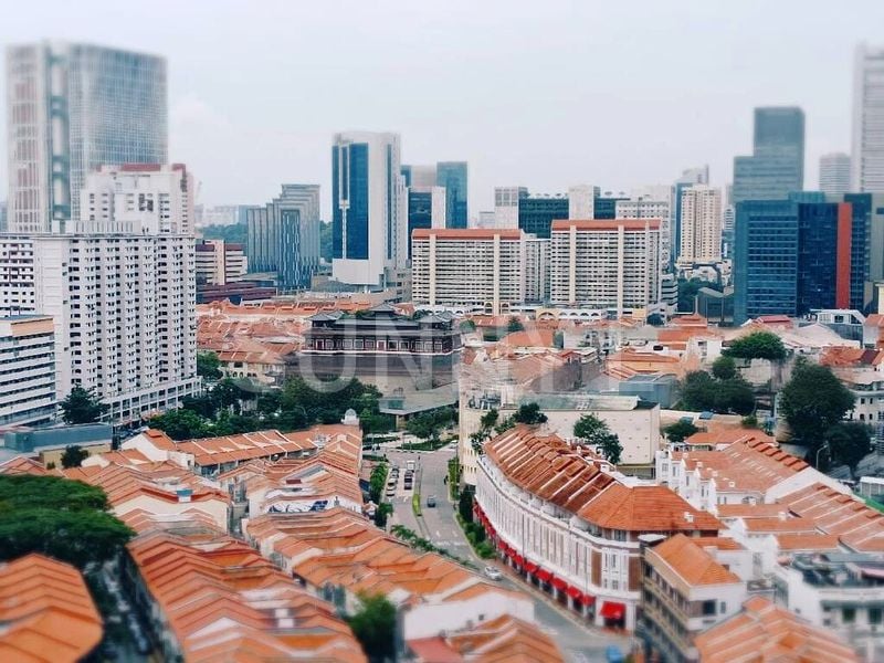 Shop / Shophouse for Sale: Prime Tras Street 3.5-Storey Shophouse near Tanjong Pagar MRT - Image 13