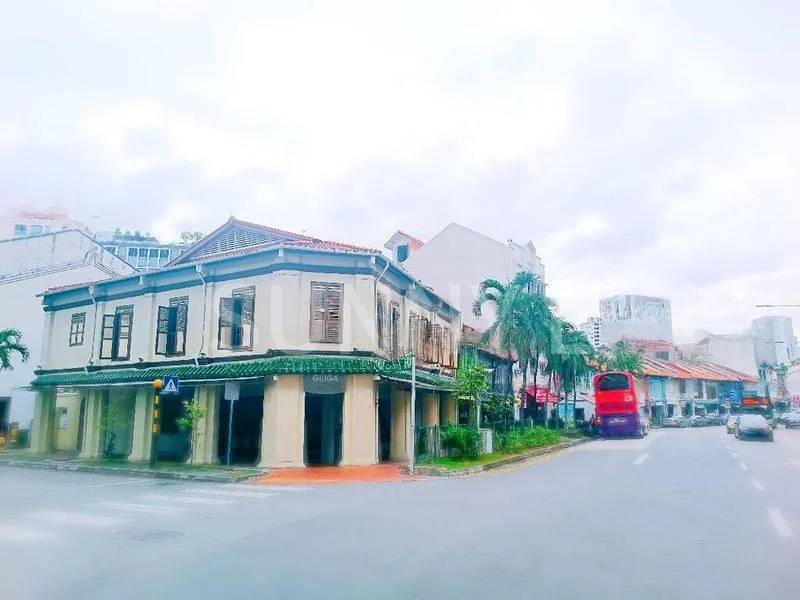 Shop / Shophouse for Sale: Prime Tras Street 3.5-Storey Shophouse near Tanjong Pagar MRT - Image 4