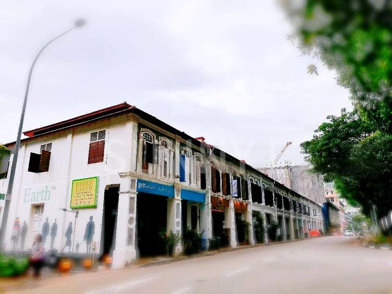 Shop / Shophouse for Sale: Prime Tras Street 3.5-Storey Shophouse near Tanjong Pagar MRT - Image 16
