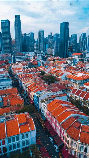 Shop / Shophouse for Sale: 3-Storey Shophouse in Chinatown, Selling with Tenancy - Image 2