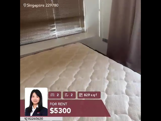 2 Bed Apartment (Condo) for Rent in The Peak @ Cairnhill II - Image 3