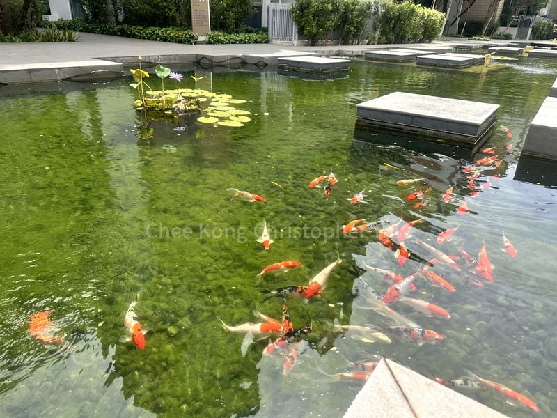 2 Bed Condo for Rent in  Terrasse - Image 2