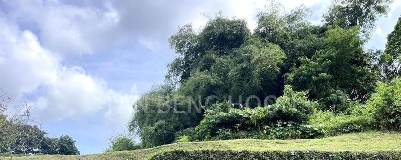 4 Bed Semi-Detached House (Landed) for Sale in  Clementi Green - Image 12