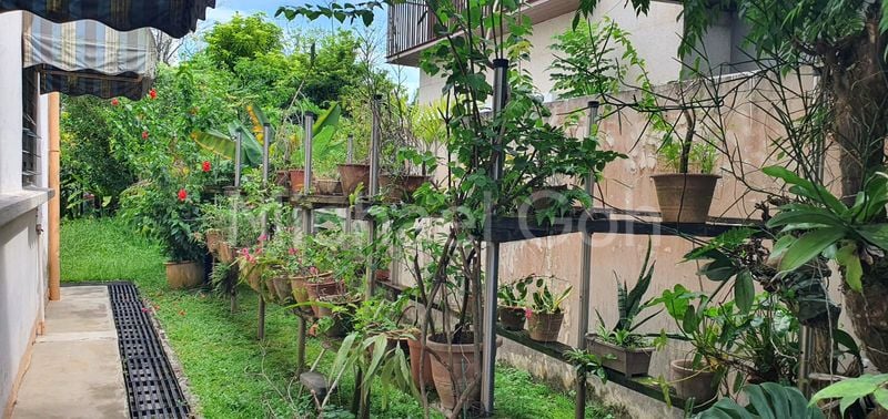 4 Bed Semi-Detached House (Landed) for Sale in  Spring Park Estate - Image 2