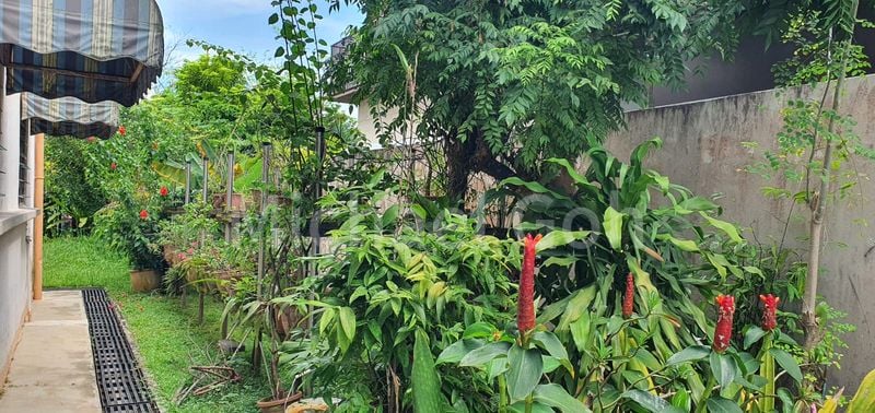 4 Bed Semi-Detached House (Landed) for Sale in  Spring Park Estate - Image 11