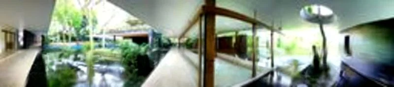 6 Bed Bungalow (Landed) for Rent in  Cluny Park - Image 5