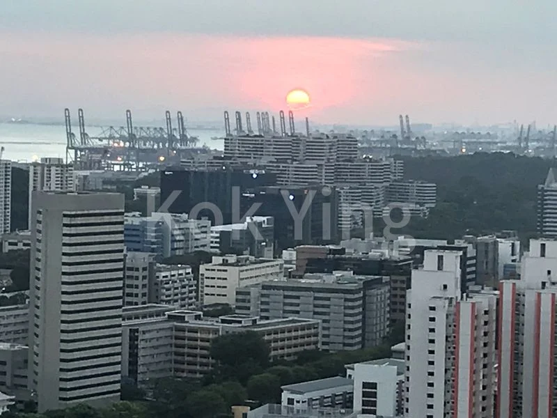 Master Room (HDB) for Rent in  96A Henderson Road - Image 8
