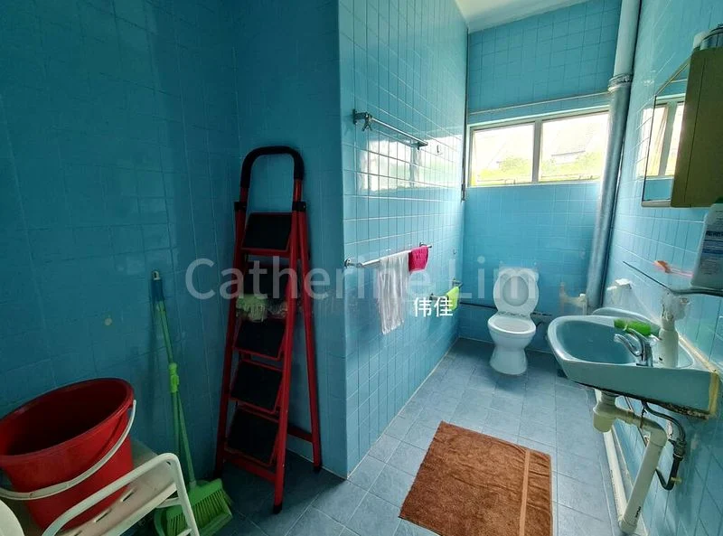 5 Bed Semi-Detached House (Landed) for Sale in  Happy Park - Image 8