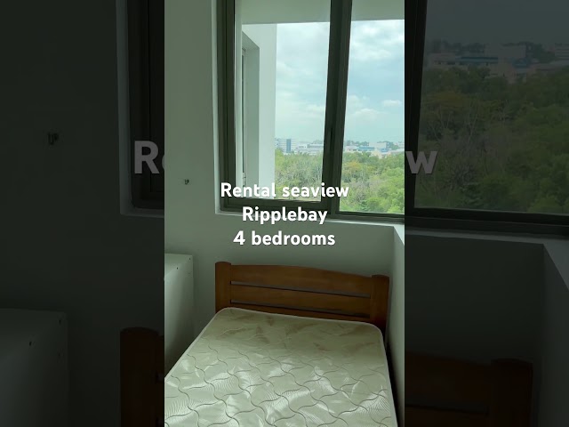 4 Bed Condo for Rent in  Ripple Bay - Image 14