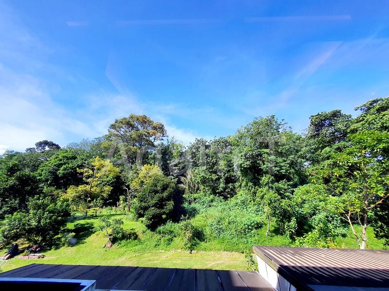 5 Bed Semi-Detached House (Landed) for Rent in  Springleaf Garden Estate - Image 5