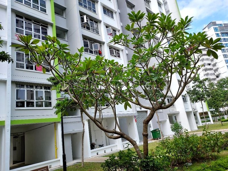 Common Room (HDB) for Rent in  524B Tampines Central 7 - Image 2