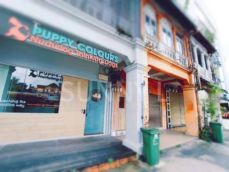 Shop / Shophouse for Rent: Prime Corner Shophouse on Bukit Timah Road, High Visibility - Image 3