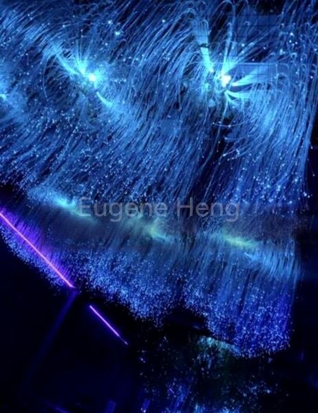 Food & Beverage for Rent: KTV Pub for Takeover (Beach Road, Ground Floor) - Image 4