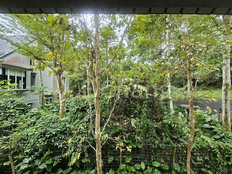 5+1 Bed Cluster House (Landed) for Rent in  Greenwood Mews - Image 31