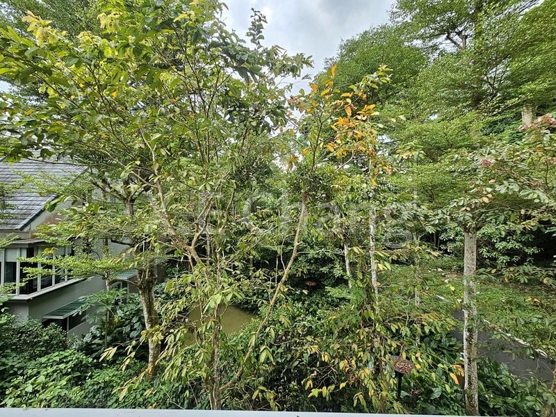 5+1 Bed Cluster House (Landed) for Rent in  Greenwood Mews - Image 9