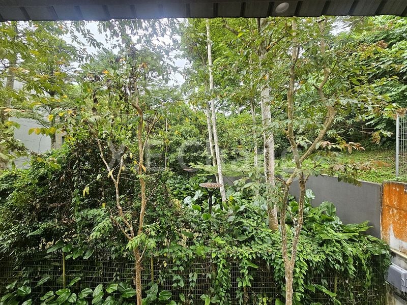 5+1 Bed Cluster House (Landed) for Rent in  Greenwood Mews - Image 26