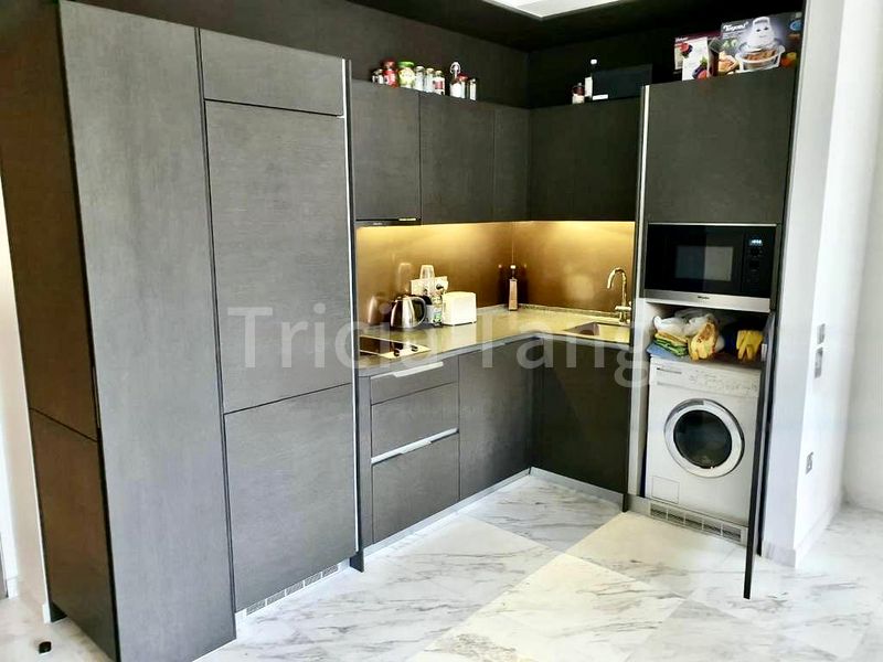 2 Bed Apartment (Condo) for Rent in  Duo Residences / Duo Tower/Duo  Galleria - Image 4