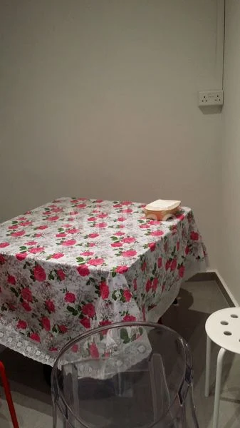 3 Room (3NG) HDB for Rent in  807 Tampines Avenue 4 - Image 19