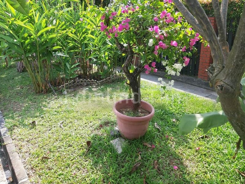 4 Bed Corner Terrace (Landed) for Sale in  Sunrise Gardens - Image 5