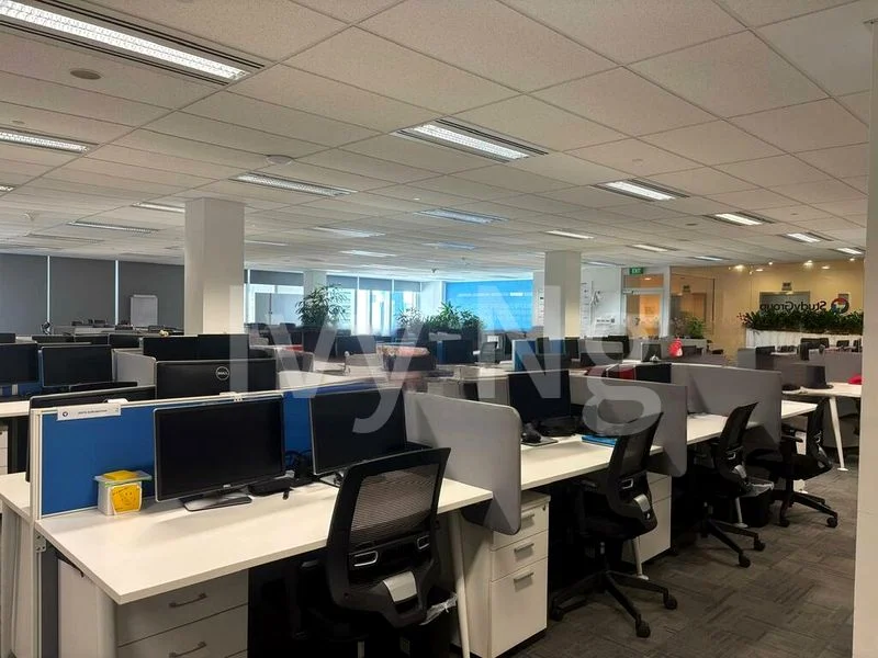 Office for Rent: 135 Cecil Street - Image 2