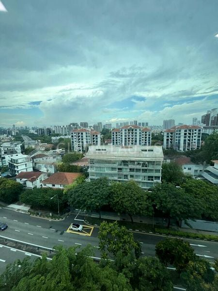 3 Bed Condo for Sale in Leedon 2 - Image 9