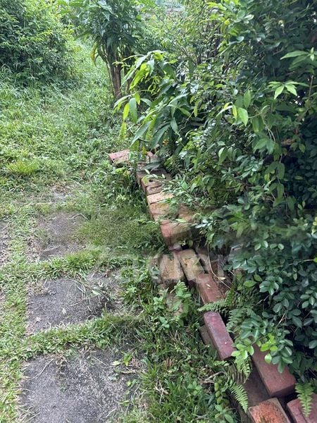 4 Bed Semi-Detached House (Landed) for Sale in  Jalan Mesin - Image 19