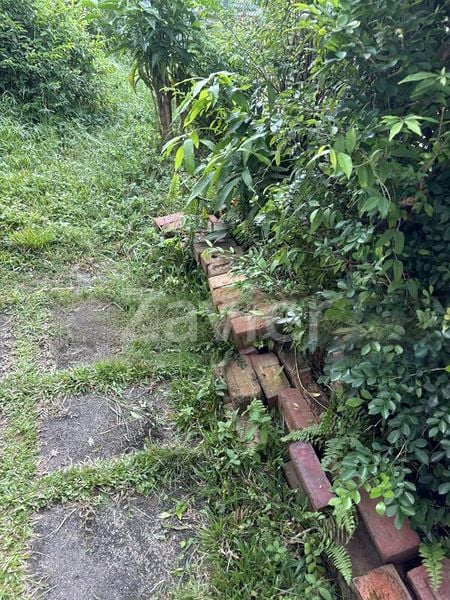 4 Bed Semi-Detached House (Landed) for Sale in  Jalan Mesin - Image 10