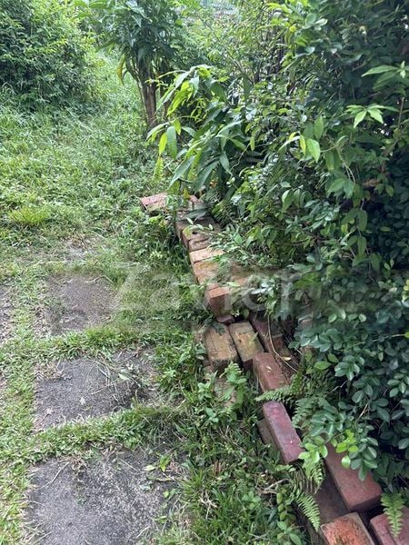 4 Bed Semi-Detached House (Landed) for Sale in  Jalan Mesin - Image 14