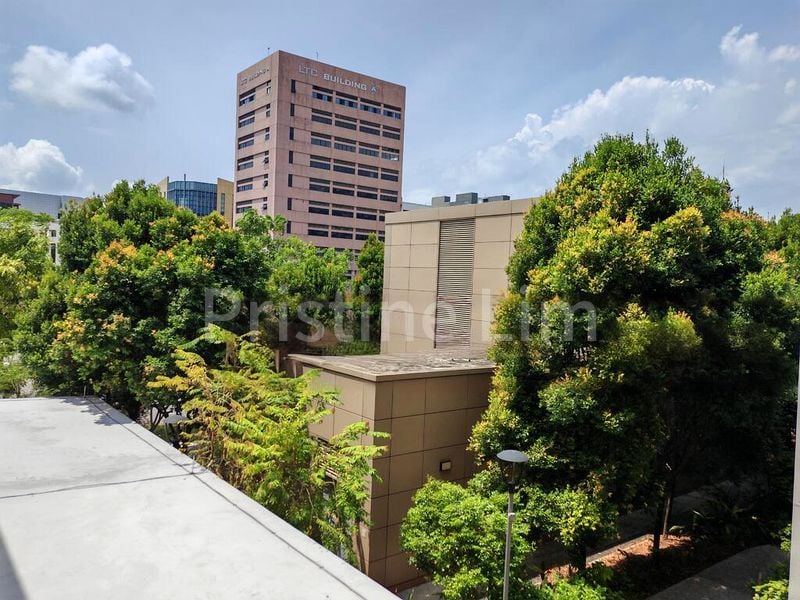 Shop / Shophouse for Sale: 67 Circuit Road - Image 6